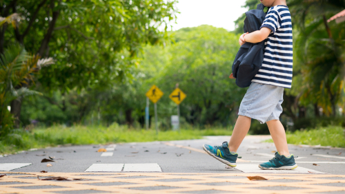 school pedestrian safety - child crossing the road in crosswalk